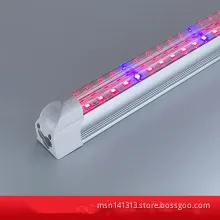 Enhance Seedling Growth with Full Spectrum T5 Lighting